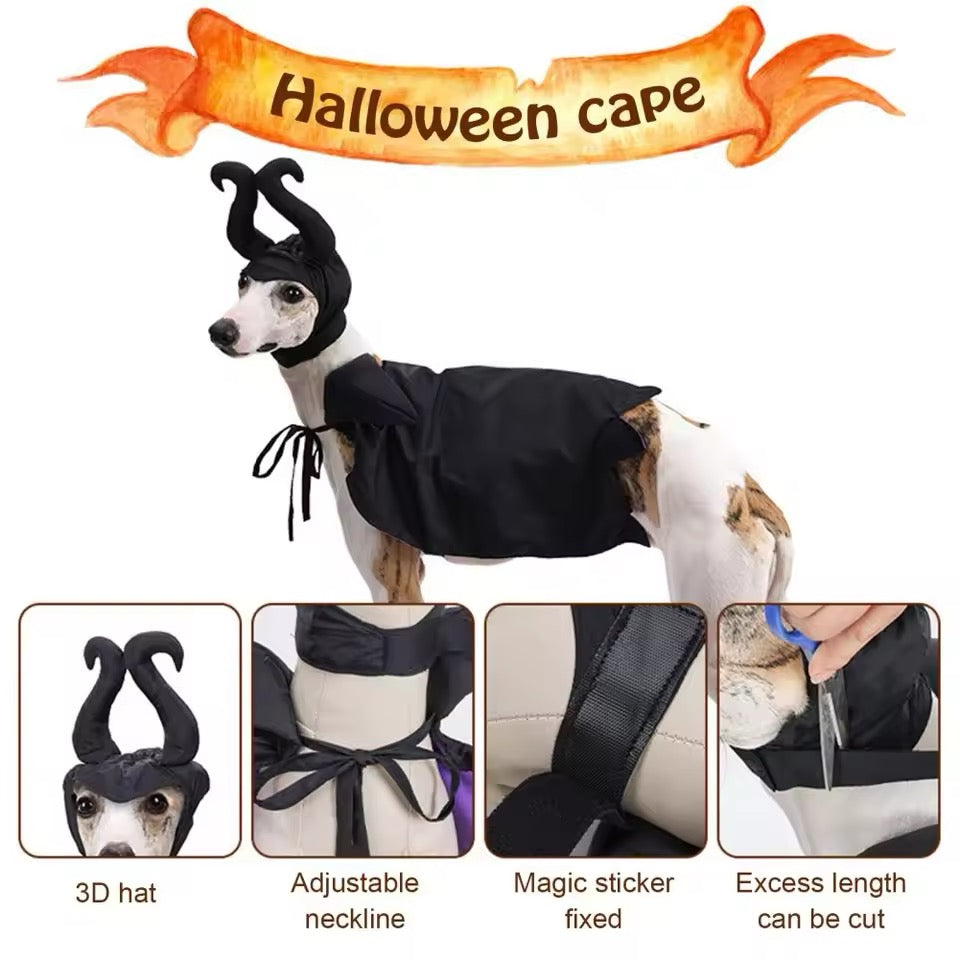 Pawleficent Dog Halloween Costume | Dog Costume for Halloween