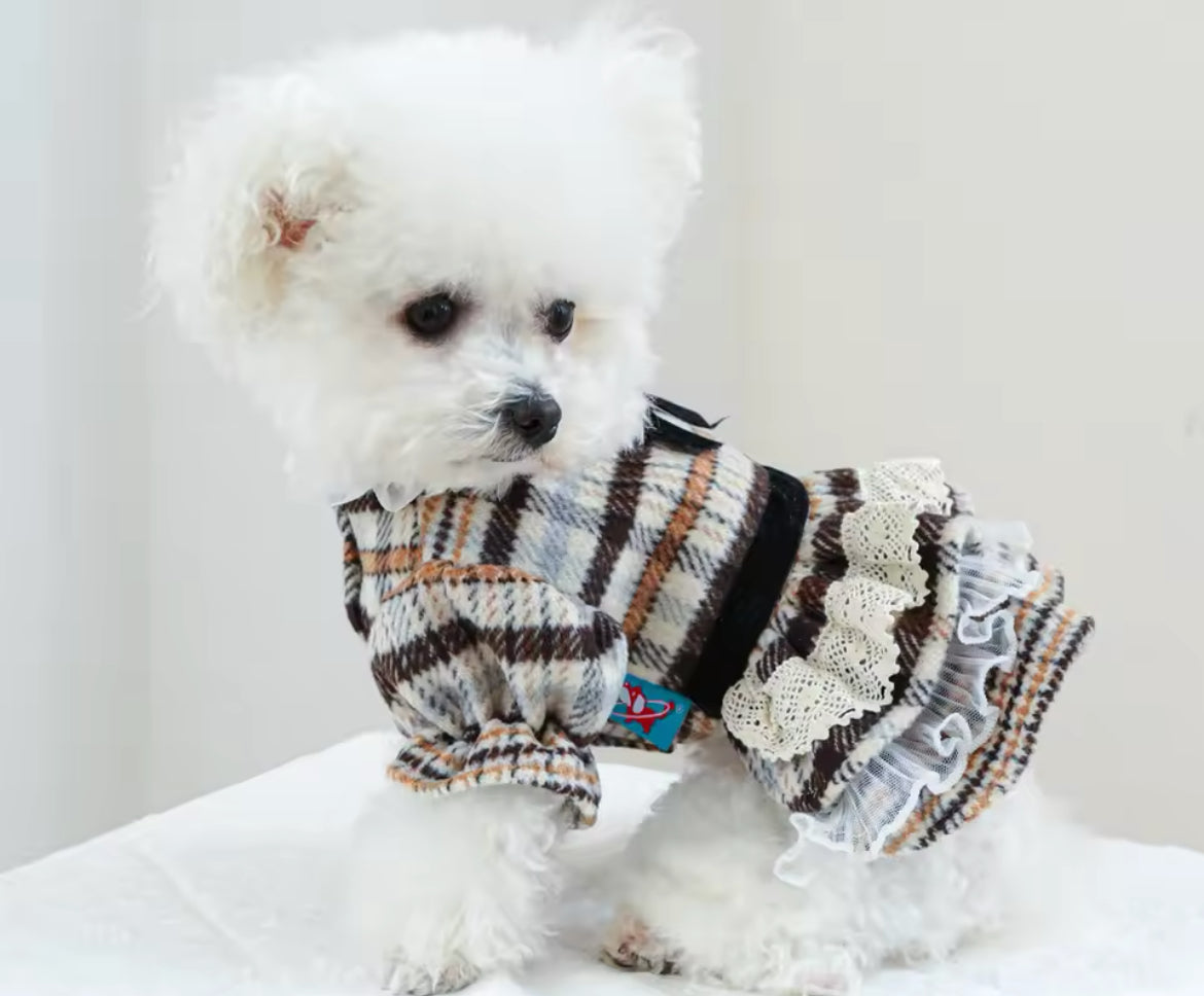 Alexis Dog Dress | Dog Dress for Everyday Wear