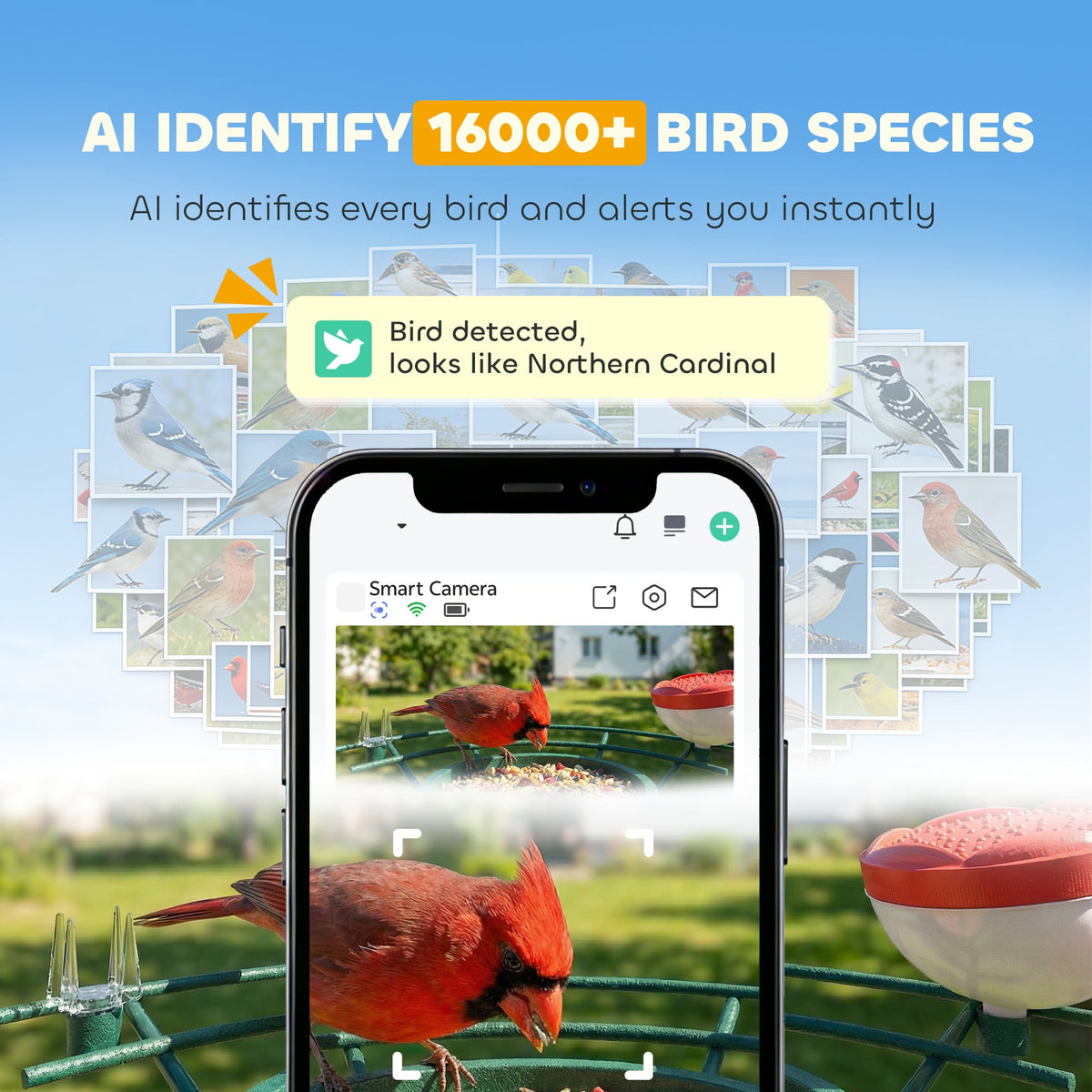 Smart Bird Feeder Camera Solar Powered with AI Identify 16000+ Birds, Auto Video Capture, Motion Detection