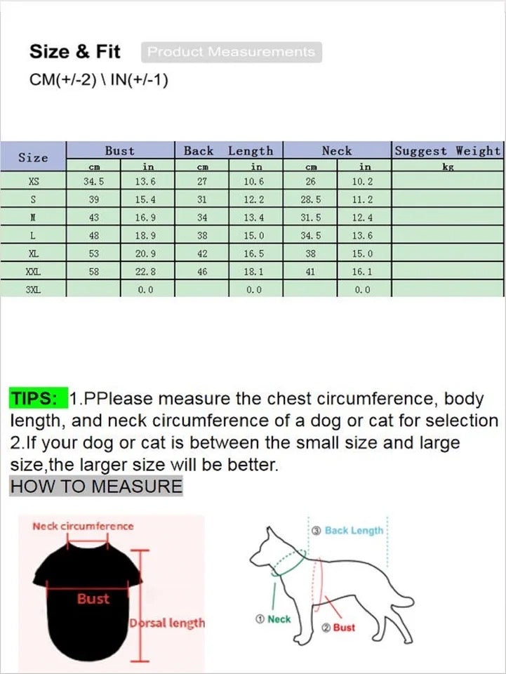 Witch Hat Dog Dress | Halloween Costume