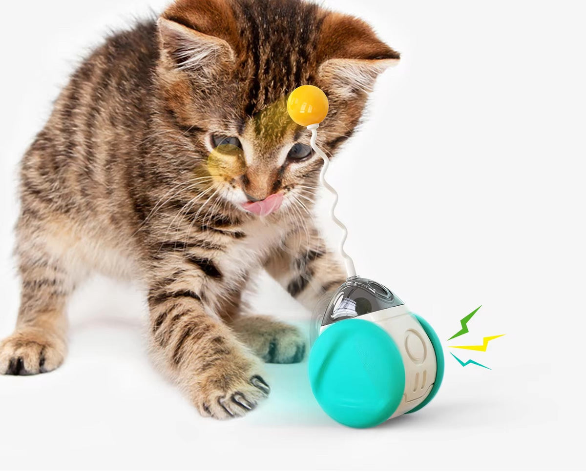 Interactive Squeaky Balance Toy – Fun for Dogs & Cats