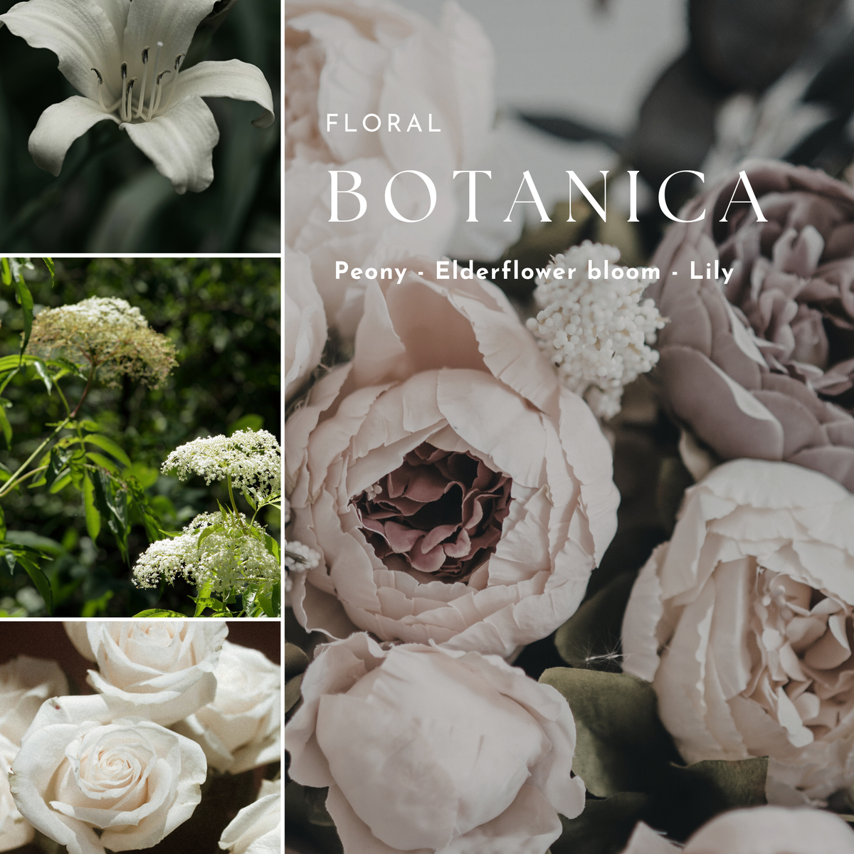 Fresh & Floral Candle Collection
