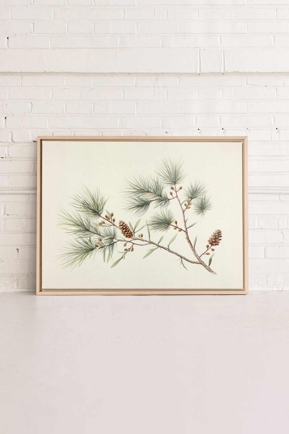 Conifer Branch, Oeuvre sur toile étirée