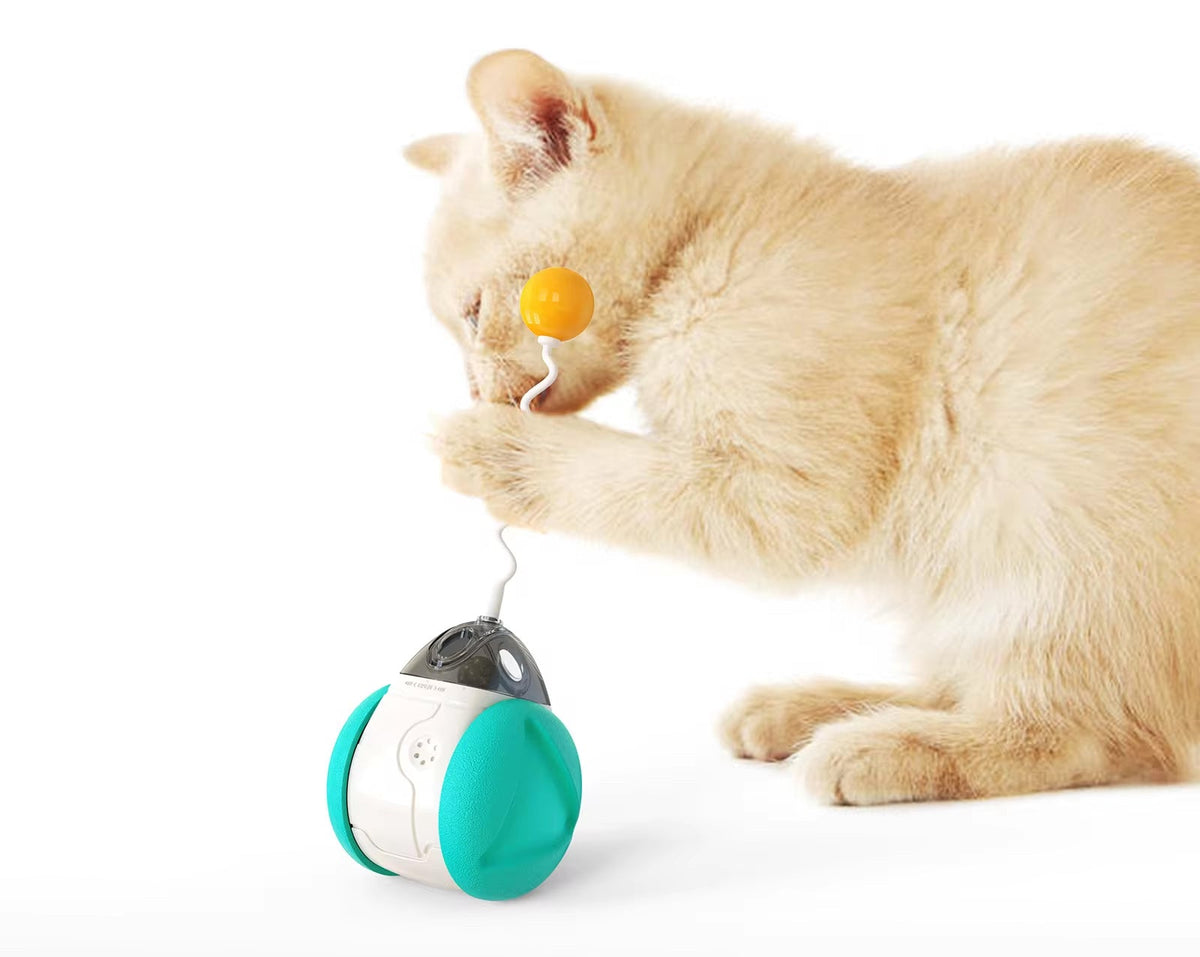 Interactive Squeaky Balance Toy – Fun for Dogs & Cats