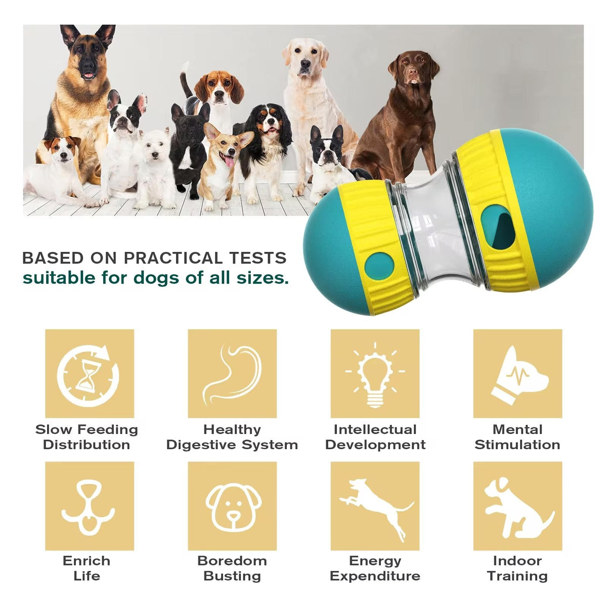 Interactive Slow Feeder Oval Toy – Dog Food Dispenser