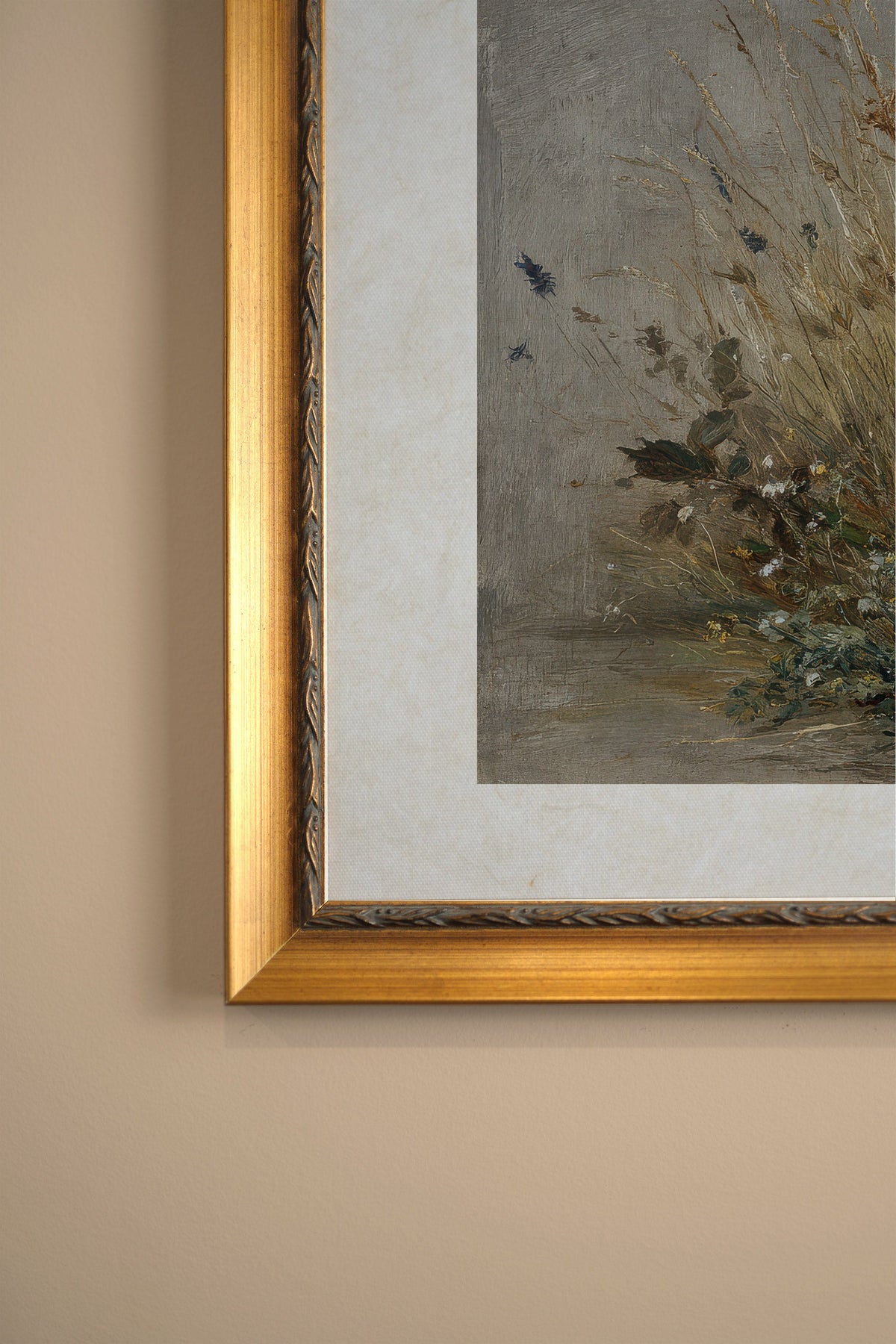 UNTAMED FIELD, CADRE VINTAGE OR