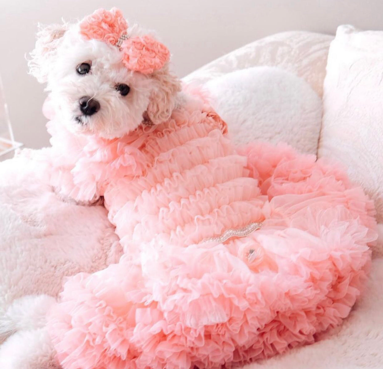 Miranda Dog Dress – Luxury Party Outfit for Small Dogs