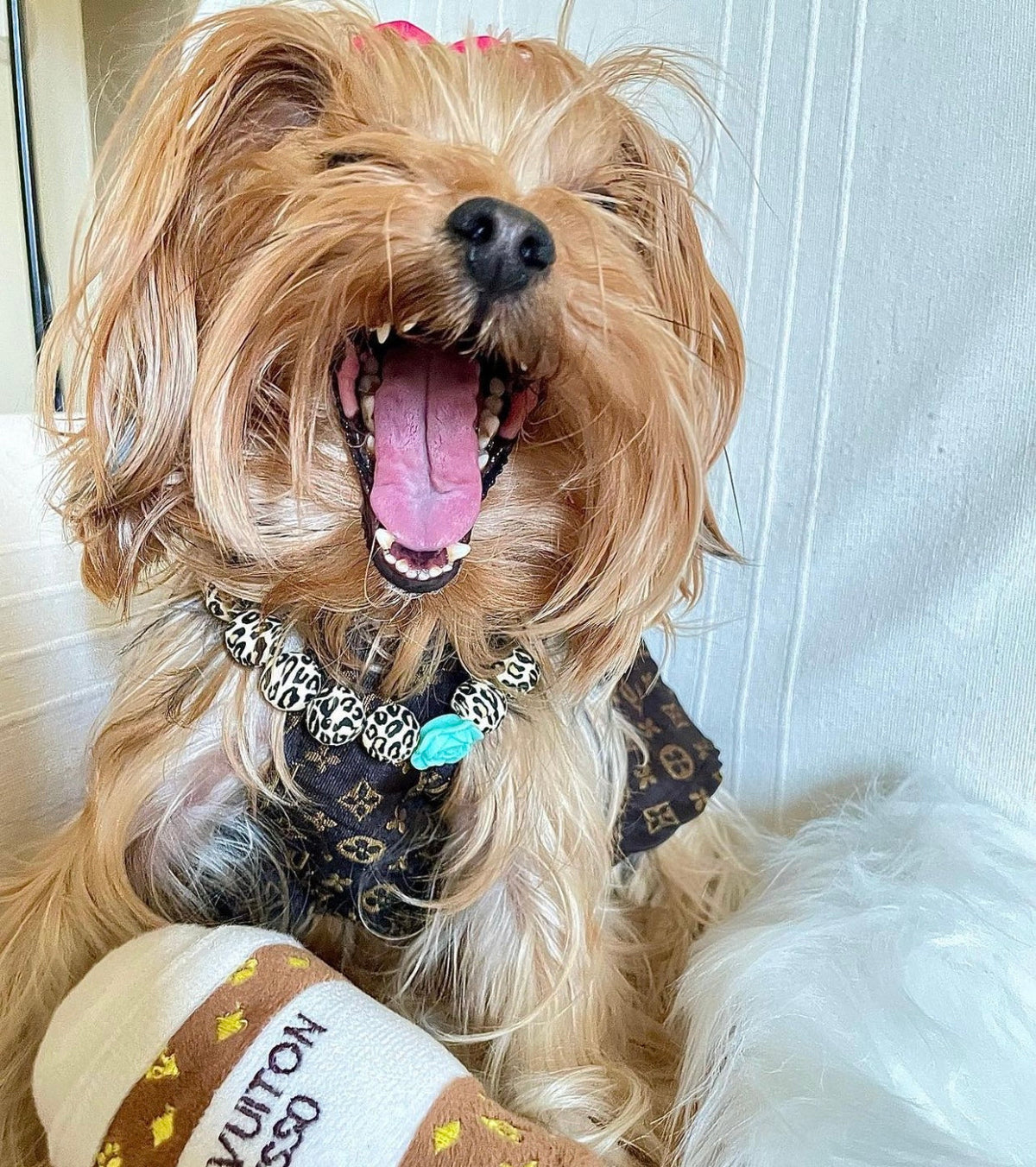 Chewy Vuitawn Espresso Coffee Cup Dog Toy