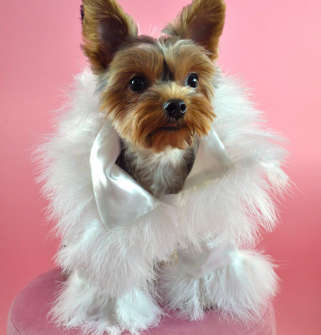 Garcelle Dog Robe – White Feather Luxury Outfit for Dogs