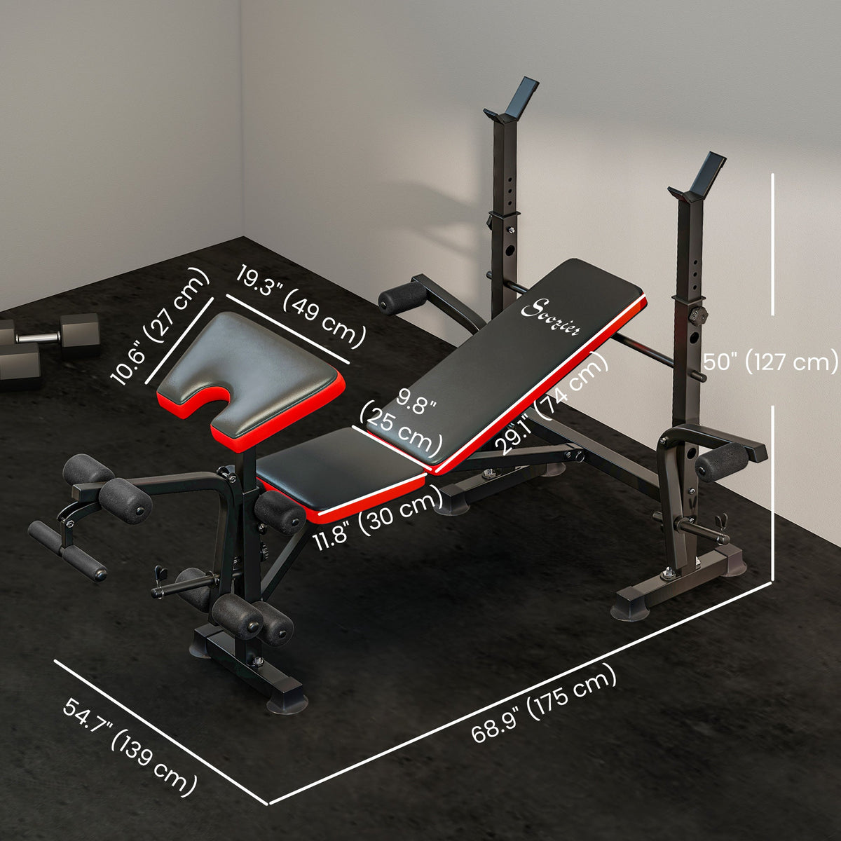 Adjustable Weight Bench for Weight Lifting and Strength Training