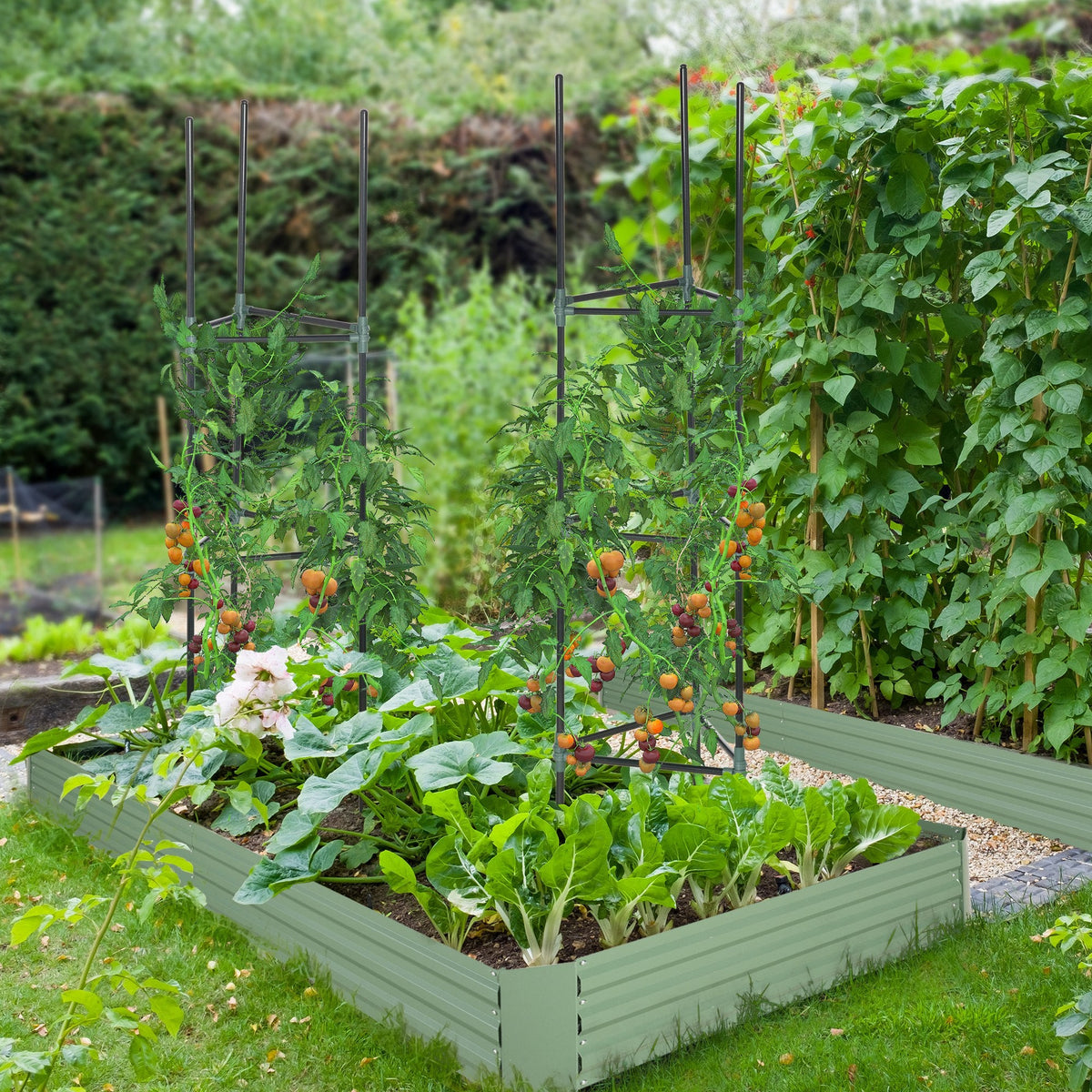 6' x 3' x 1' Raised Garden Bed with 2 Trellis Tomato Cages, Steel Frame Elevated Planter Box, Black