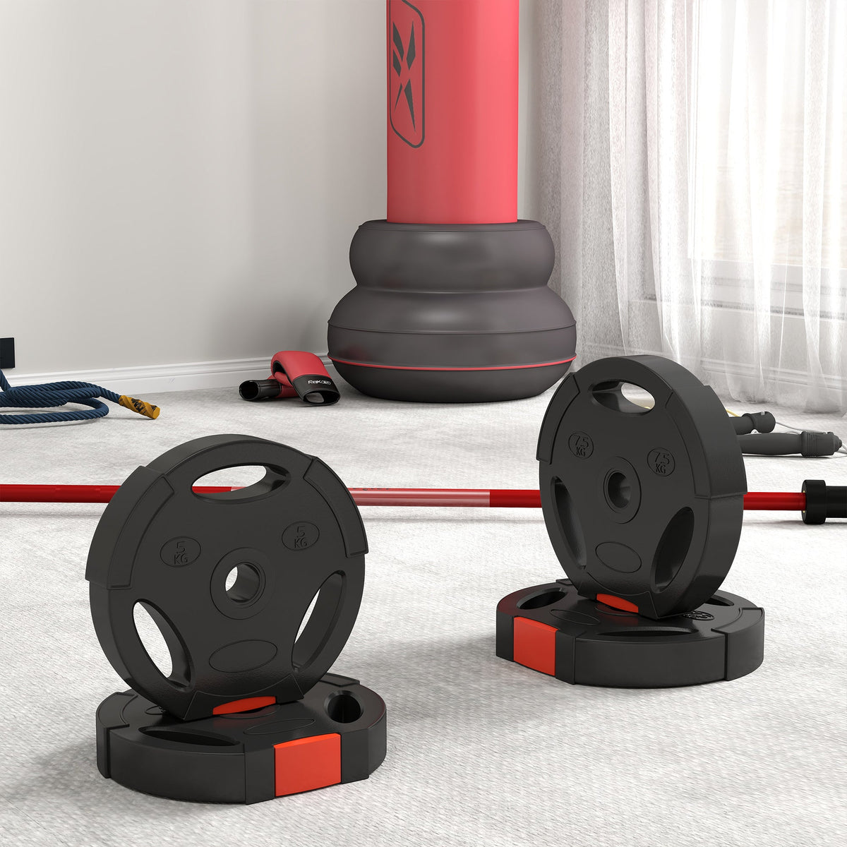 1-Inch Weight Plates, Barbell Weights Set for Weightlifting and Strength Training, 2 x 11lbs + 2 x 5.5lbs