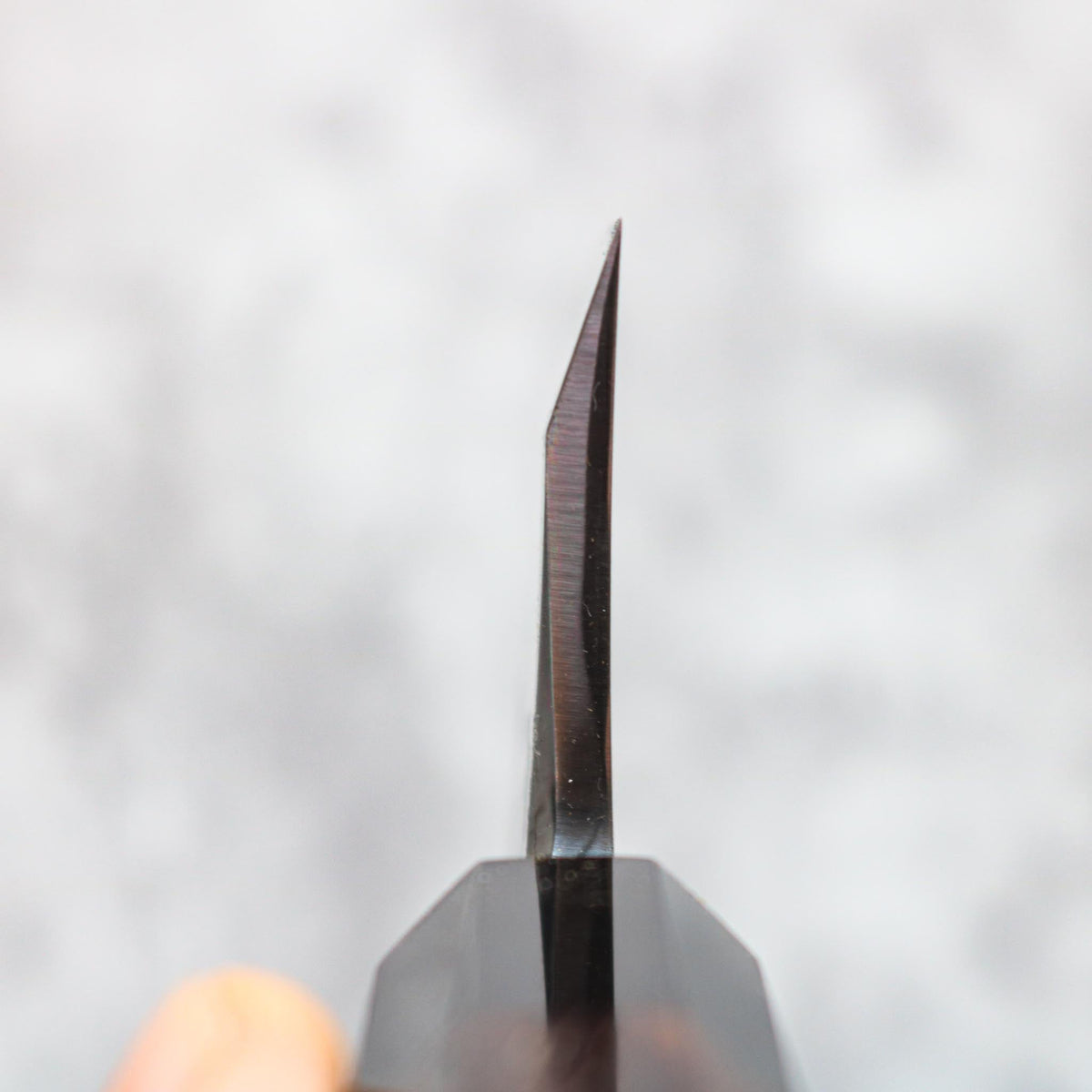 Hatsukokoro Shirasagi Migaki Deba 165 mm