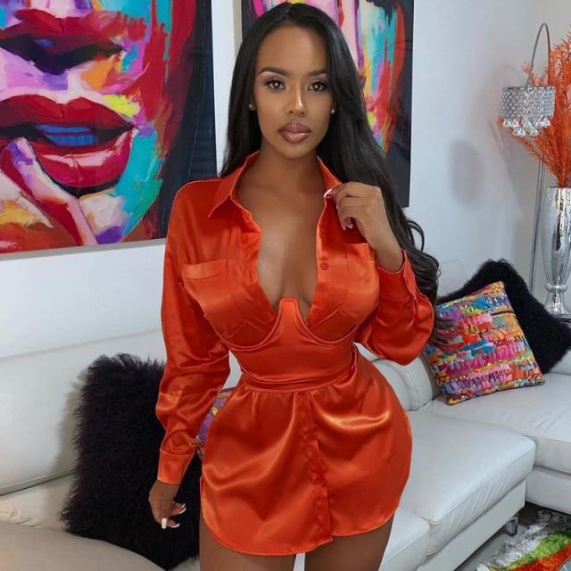Dress Shirt Dress
