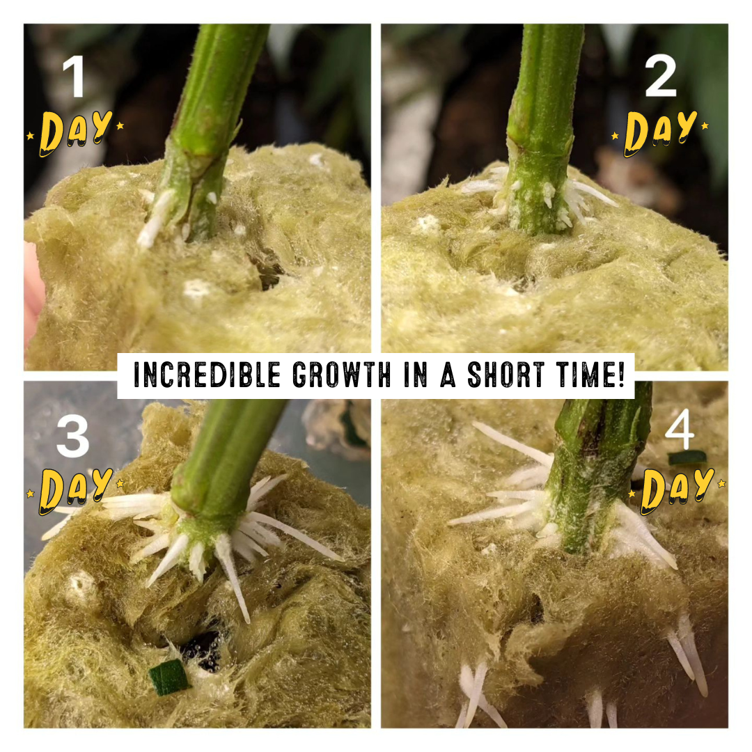 Root Rush Rooting & Cloning Powder