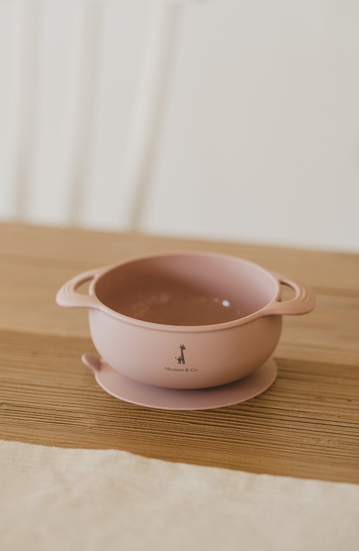 Bol en silicone à succion
