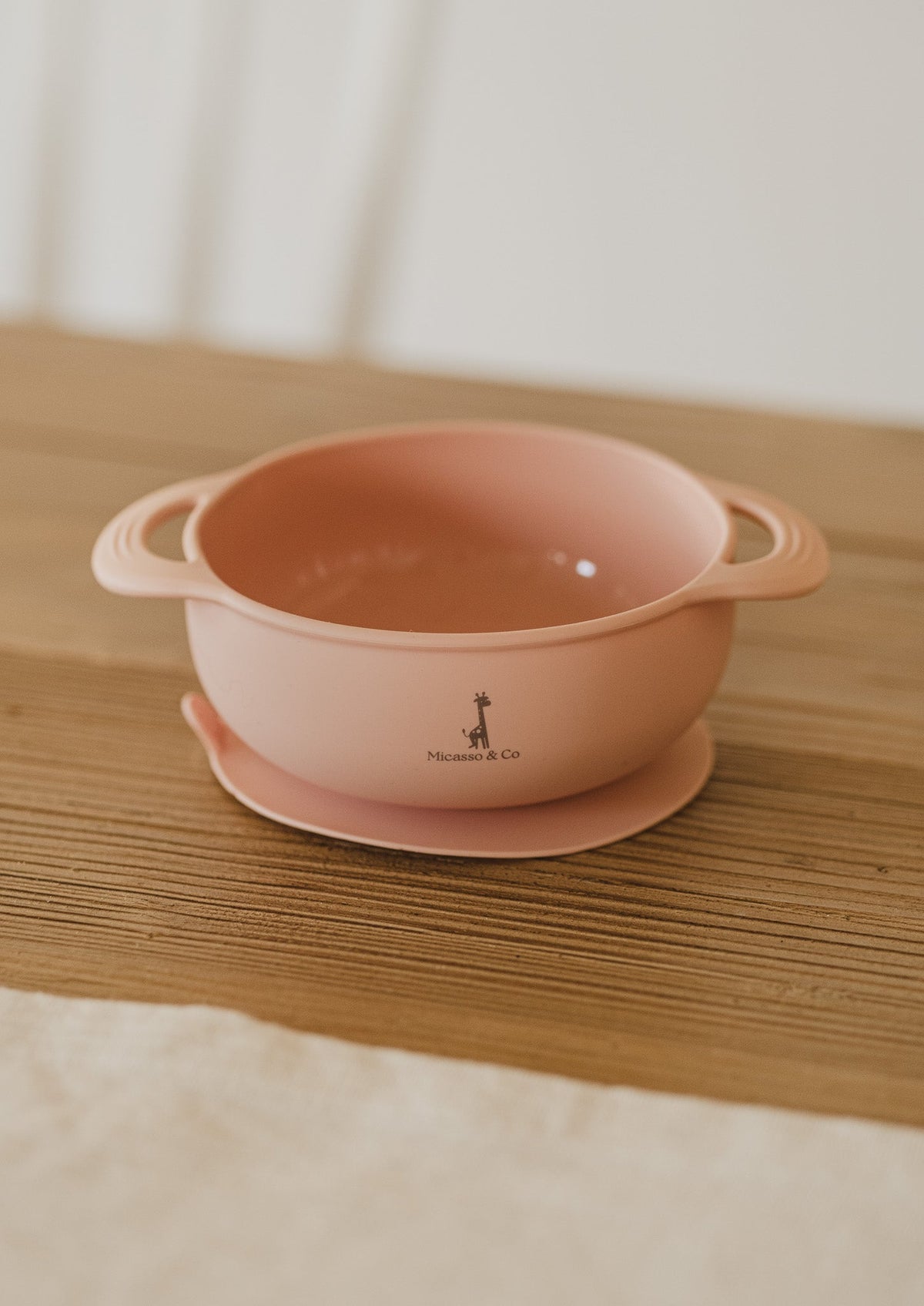 Bol en silicone à succion