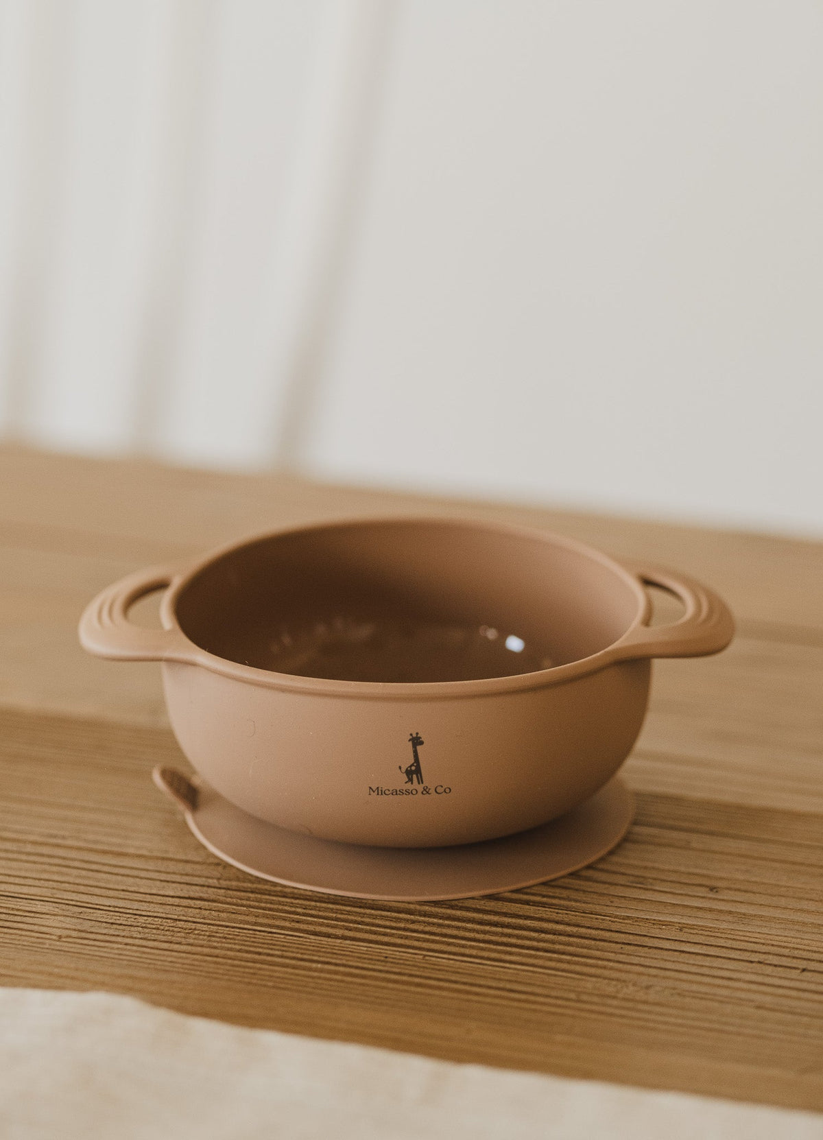 Bol en silicone à succion
