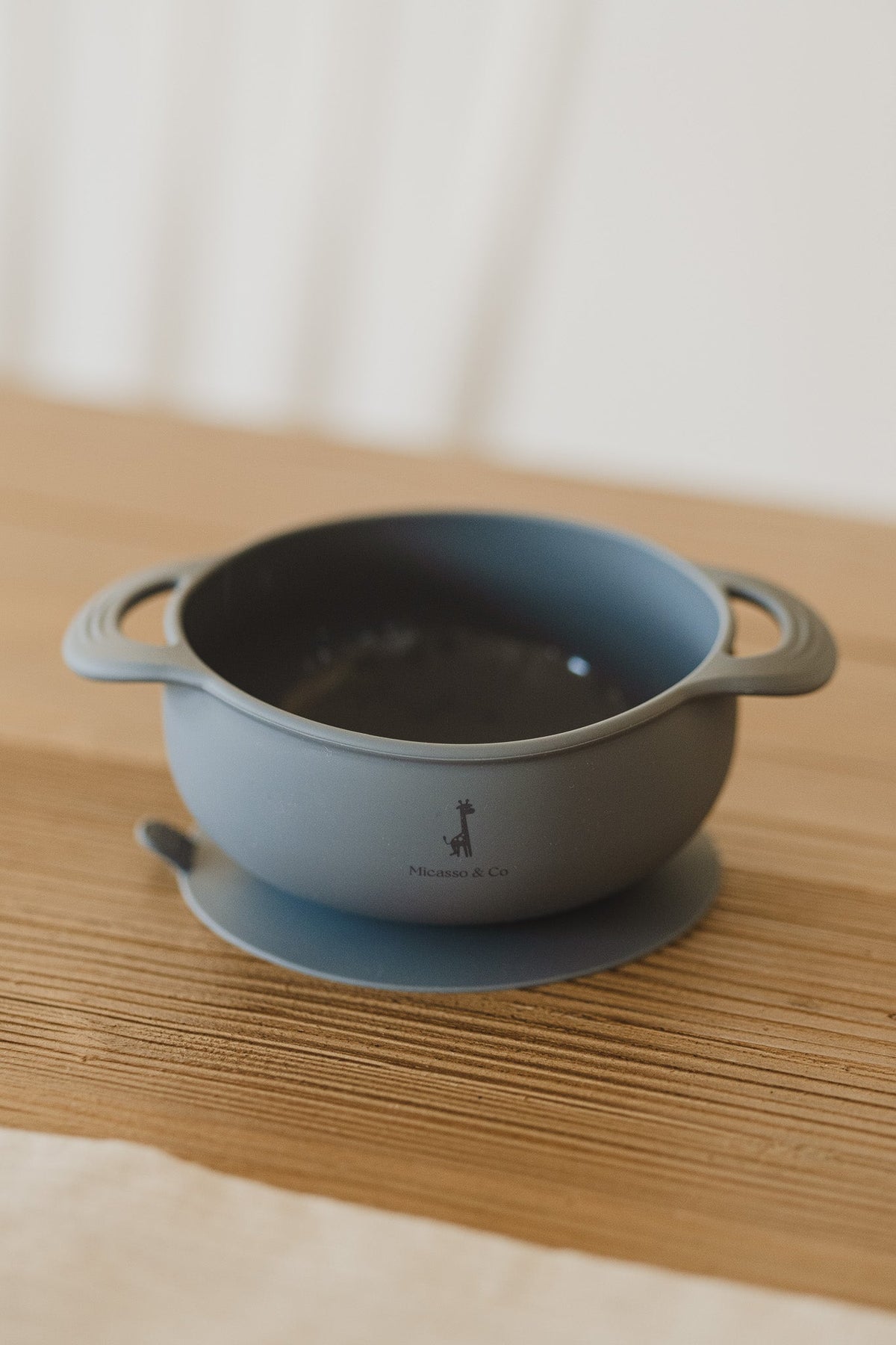 Bol en silicone à succion
