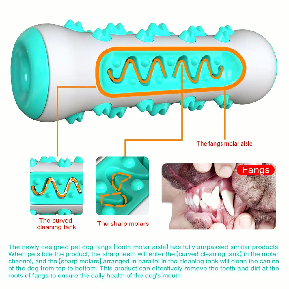 Chew Toys for Dogs – Unbreakable Molar Treat Dispenser