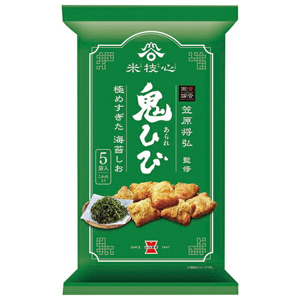 岩塚製菓 鬼ひび 海苔しお 100g×12袋入【日本出荷】