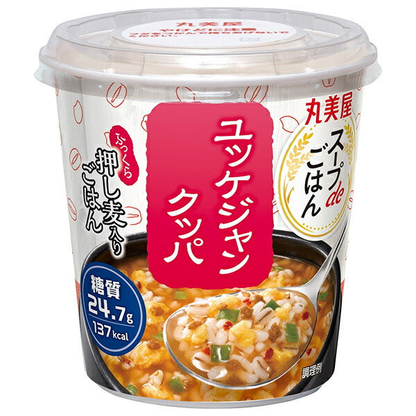 丸美屋 スープdeごはん ユッケジャンクッパ 69.8g×6個入【日本出荷】