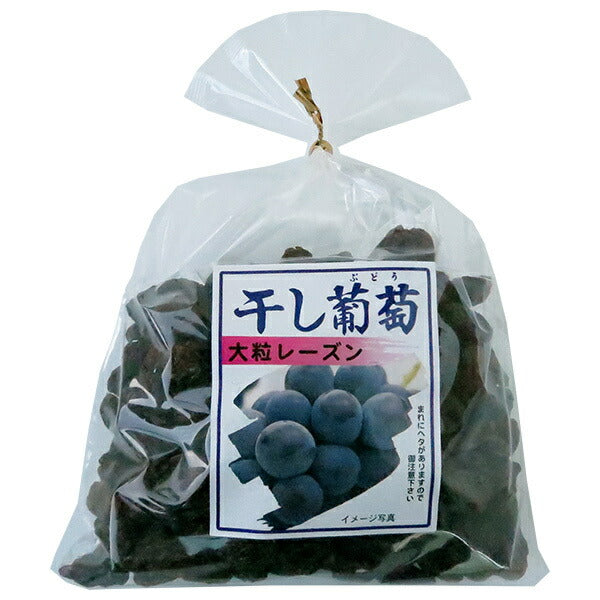 ナガトク 干し葡萄 大粒レーズン 370g×5袋入【日本出荷】