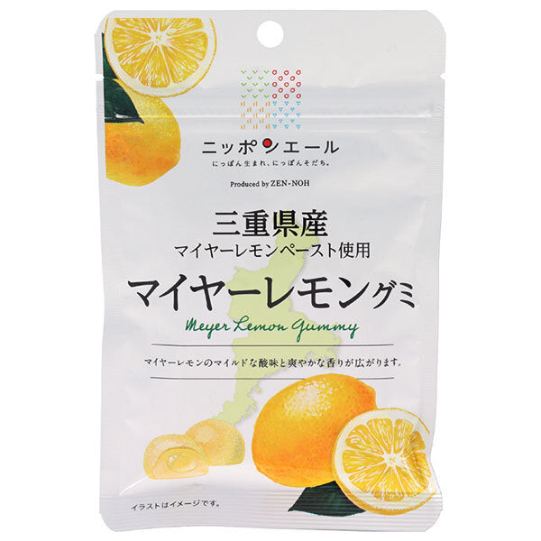 JA全農 ニッポンエール 三重県産マイヤーレモン グミ 40g×10袋入【日本出荷】