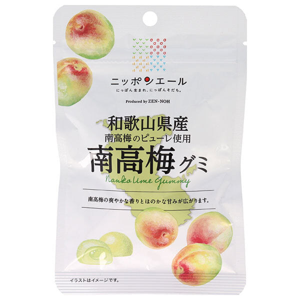 JA全農 ニッポンエール 和歌山県産南高梅 グミ 40g×10袋入【日本出荷】