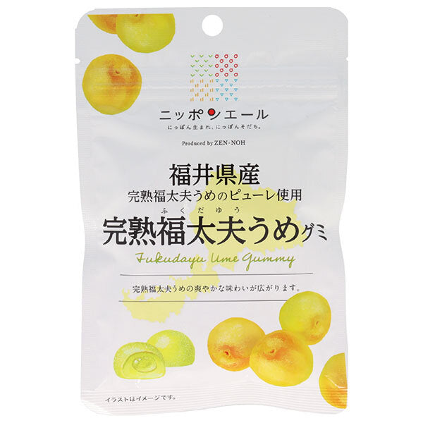 JA全農 ニッポンエール 福井県産完熟福太夫梅 グミ 40g×10袋入【日本出荷】