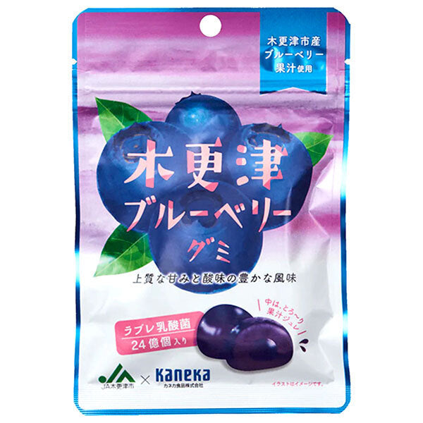 カネカ食品 木更津ブルーベリーグミ ラブレ乳酸菌入 40g×10袋入【日本出荷】