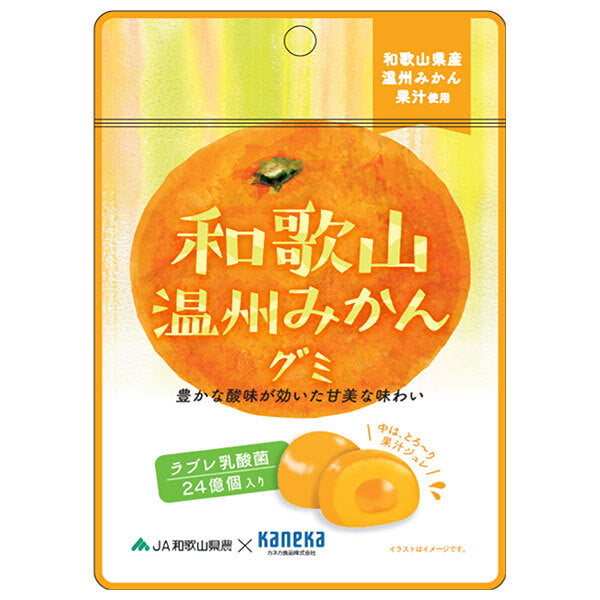 カネカ食品 和歌山温州みかんグミ ラブレ乳酸菌入 40g×10袋入【日本出荷】