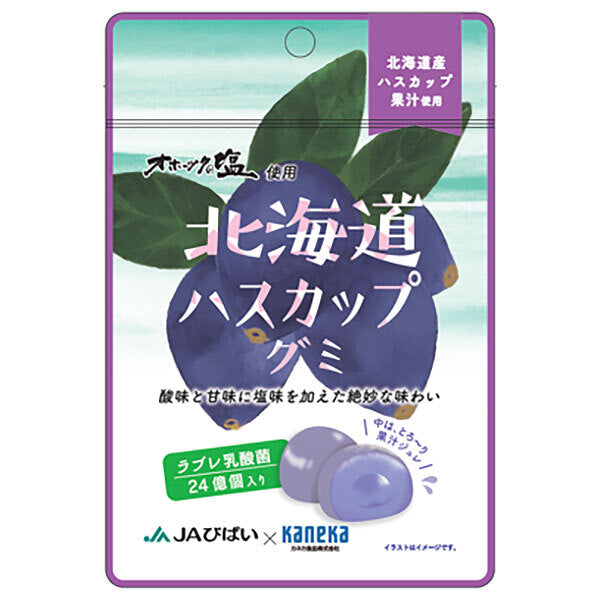 カネカ食品 北海道ハスカップグミ ラブレ乳酸菌入 40g×10袋入【日本出荷】