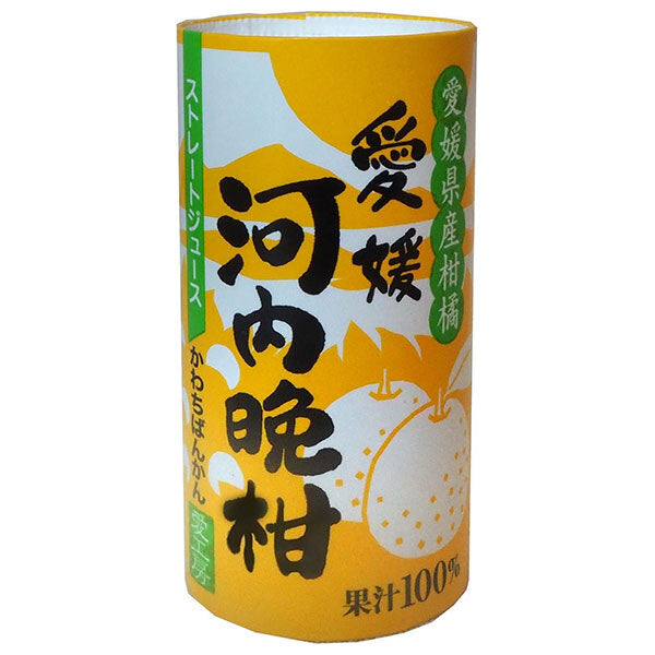 愛工房 河内晩柑 125mlカートカン×30本入【日本出荷】