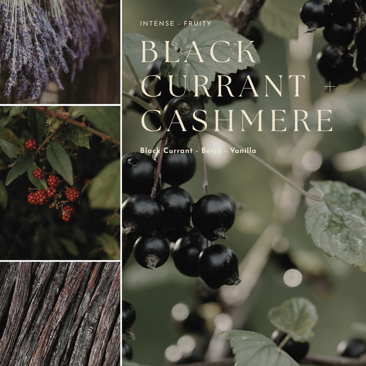 Gourmand, Fruit & Citrus Fragrance Mist