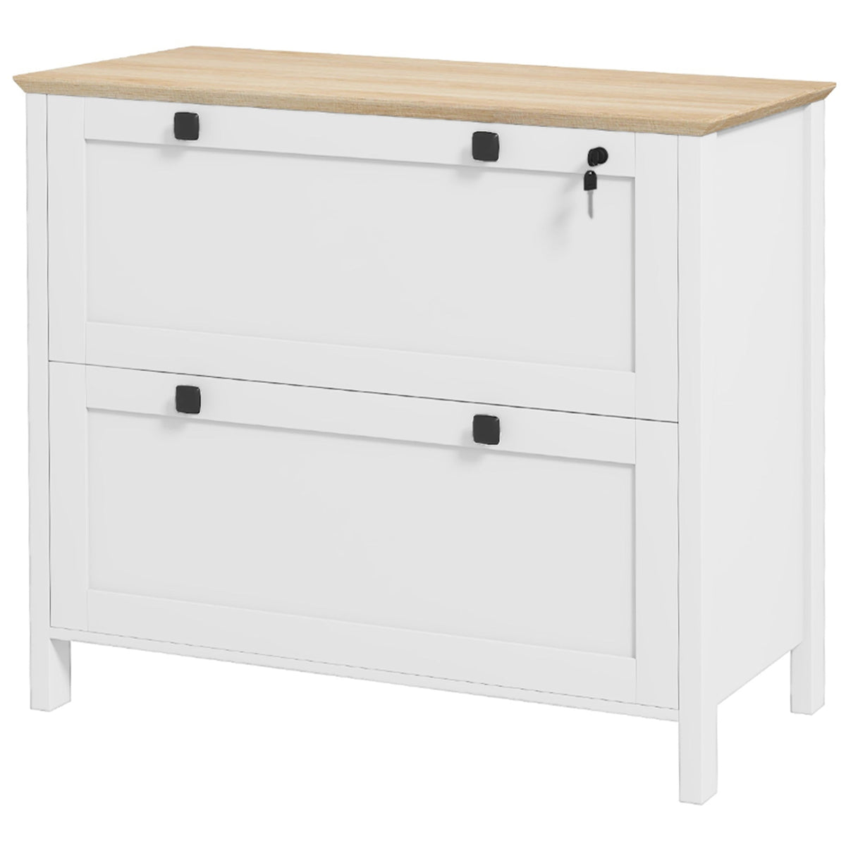 2 Drawer File Cabinet, Lockable Filing Cabinet with Adjustable Hanging Bar for Letter, A4 and Legal Size, Black