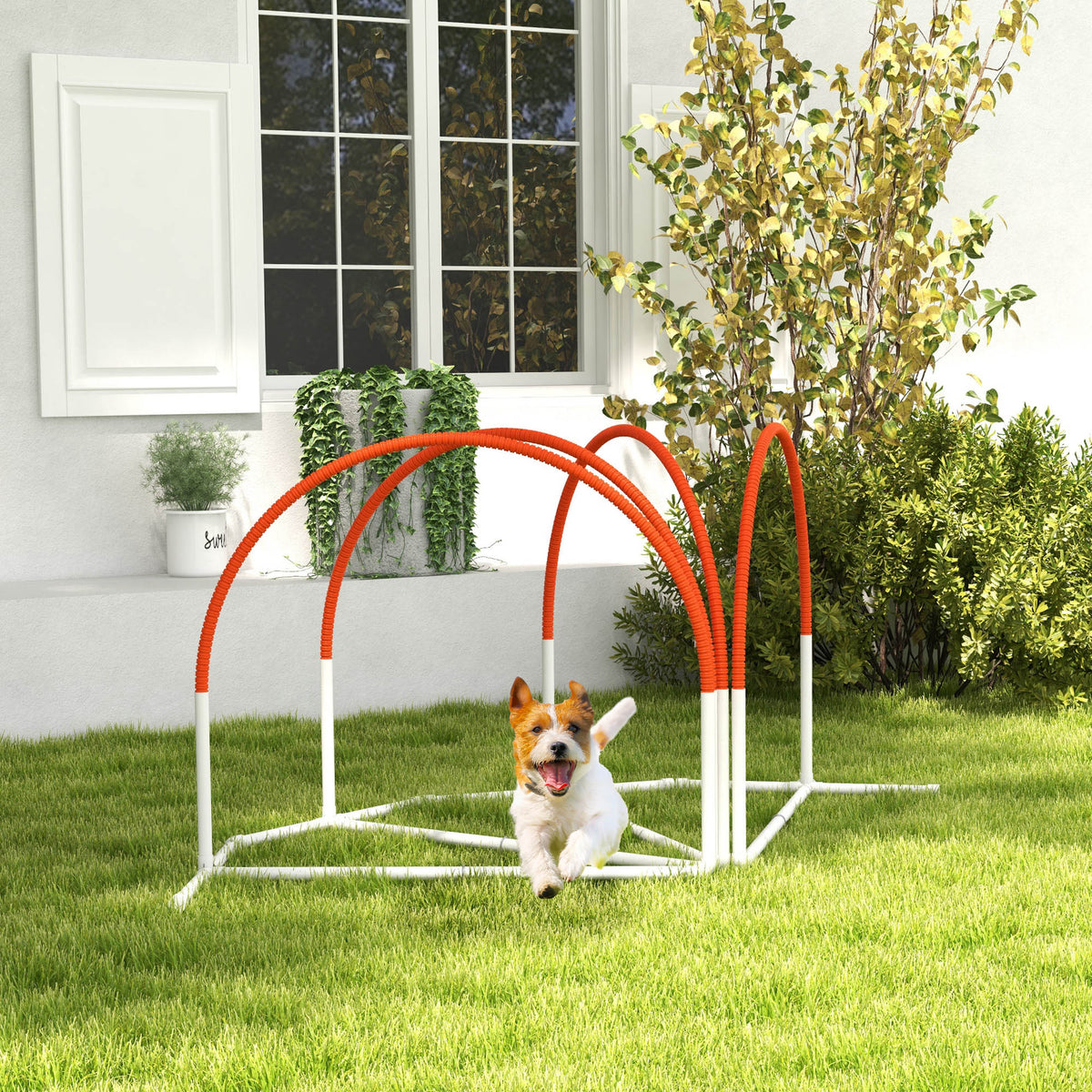 Dog Agility Kit Pet Obstacle Course Training Equipment Outdoor with Weave Poles, Carry Bag, Black