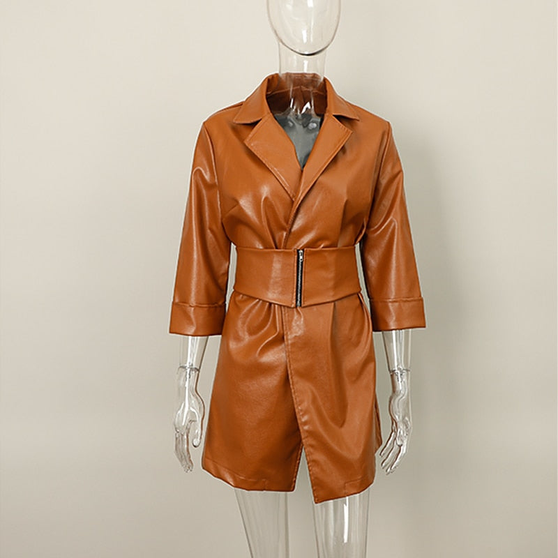 Trench Dress