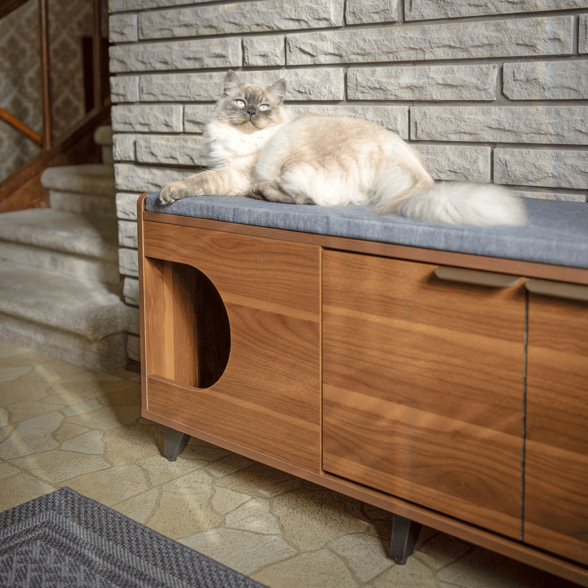 tucker shoe cabinet