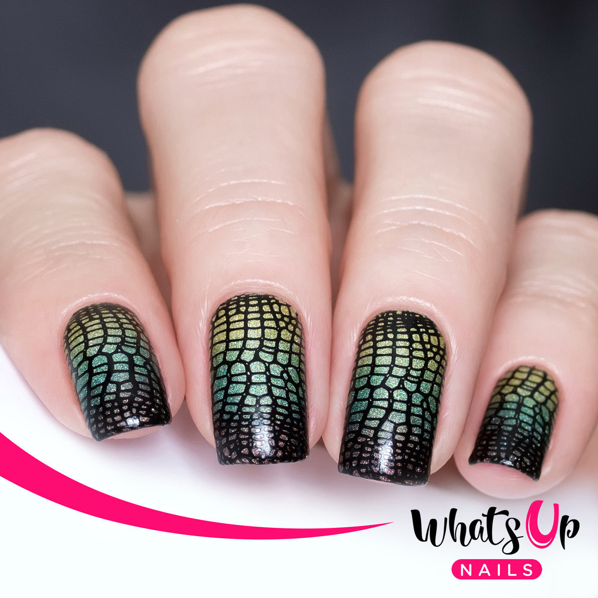 Whats Up - Zoology Trip Stamping Plate