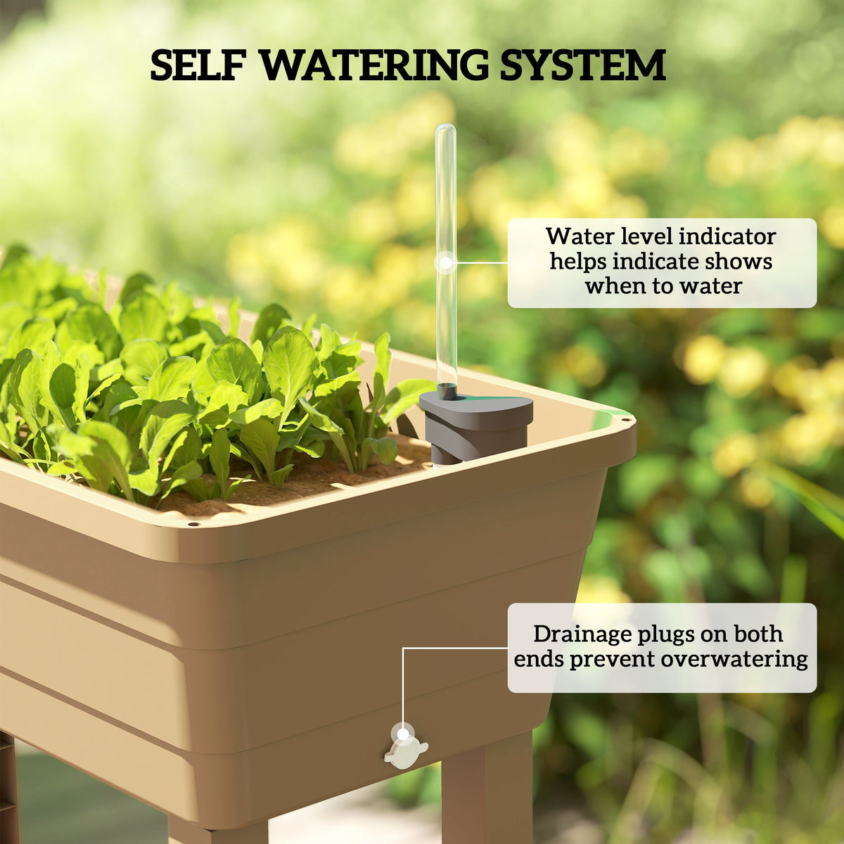 41L Self Watering Raised Garden Bed w/ Ventilation Transparent Lid Greenhouse, Planter Box w/ Storage Shelf, Black