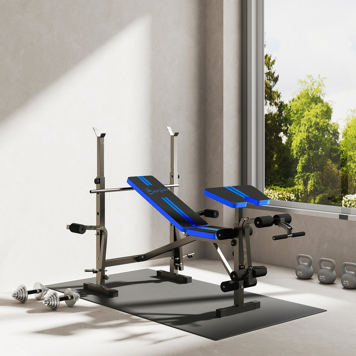 Adjustable Weight Bench for Weight Lifting and Strength Training