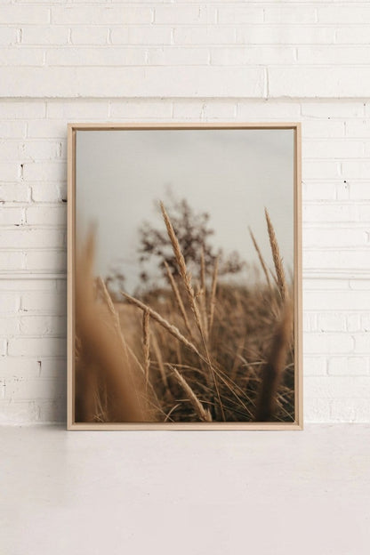 WHEAT, Oeuvre sur toile étirée