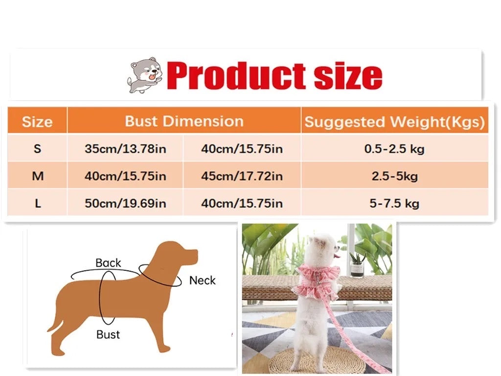 Floral Dog Harness and Leash Set | Dog Walking Set