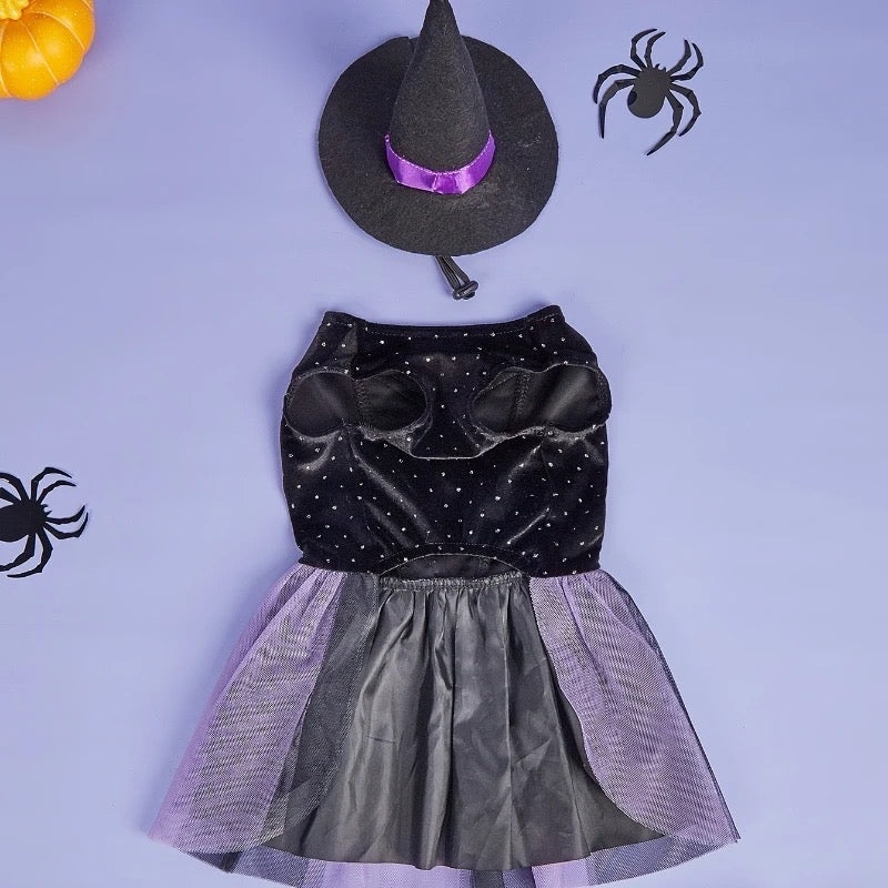 Witch Hat Dog Dress | Halloween Costume