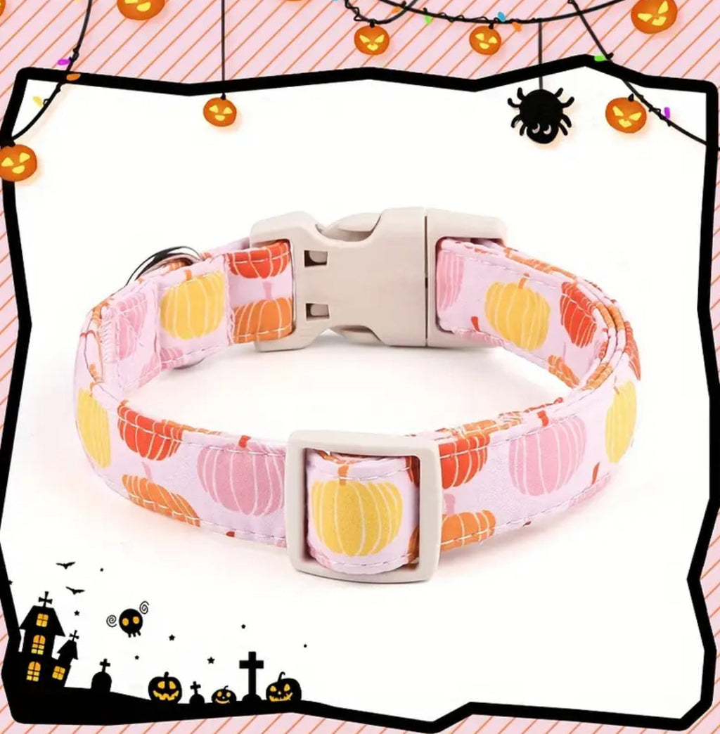 Peaches and Pumpkins Dog Collar | Halloween Dog Collar