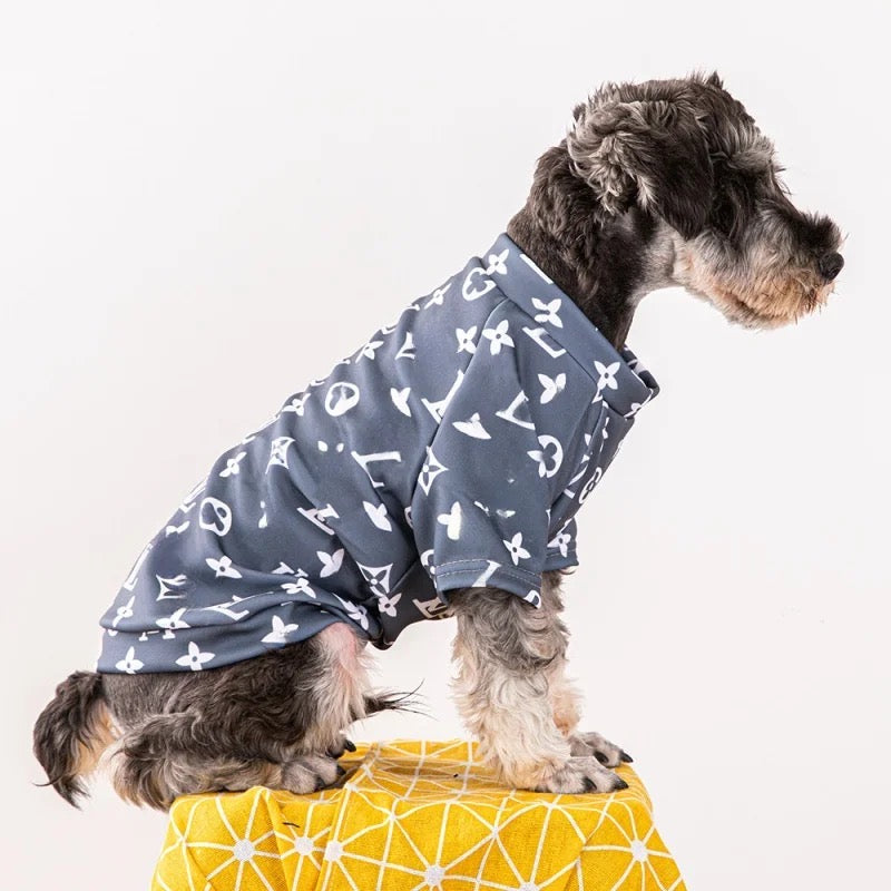 Chewy Pawtton Dog Sweater | Graphic Knit Dog Sweater