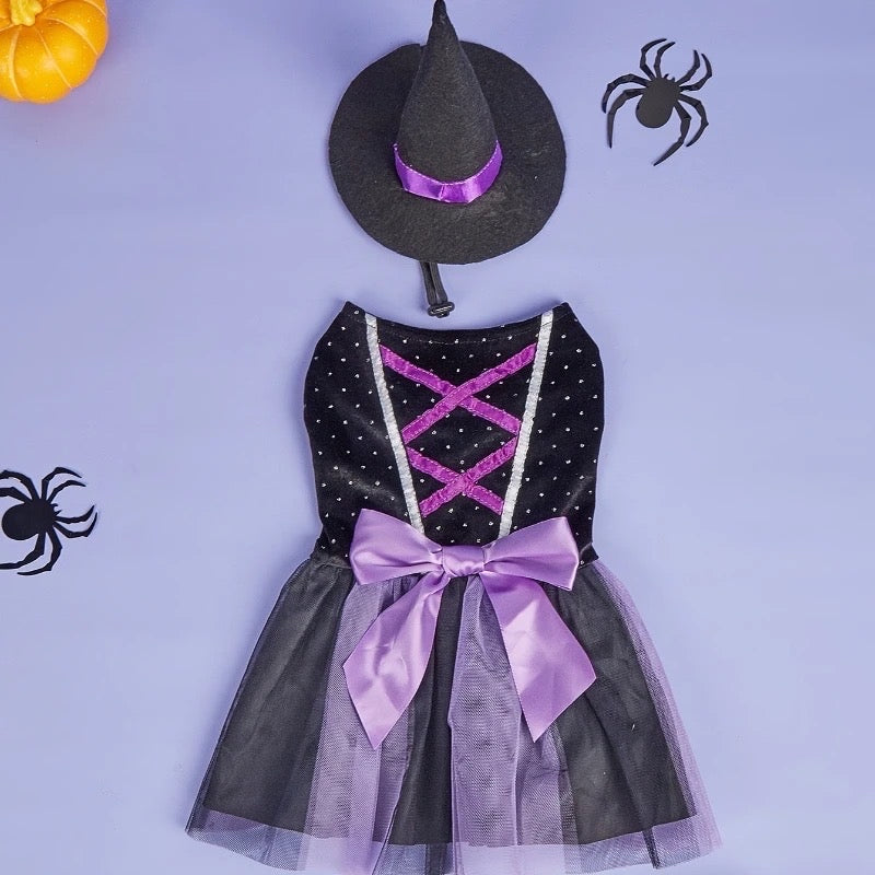 Witch Hat Dog Dress | Halloween Costume