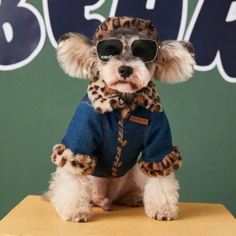 Wild Streets Dog Jean Jacket | Casual Dog Denim Outerwear