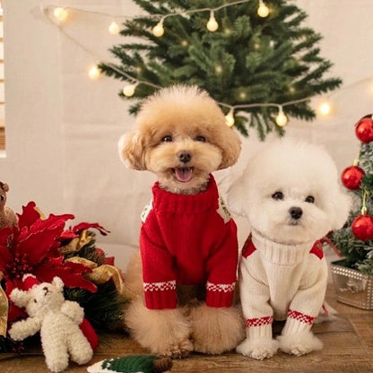 Santa Baby Holiday Dog Sweater | Christmas Dog Knit Sweater